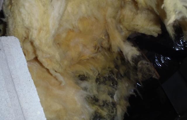 We Need a Crawl Space Vapor Barrier in Georgetown, DE