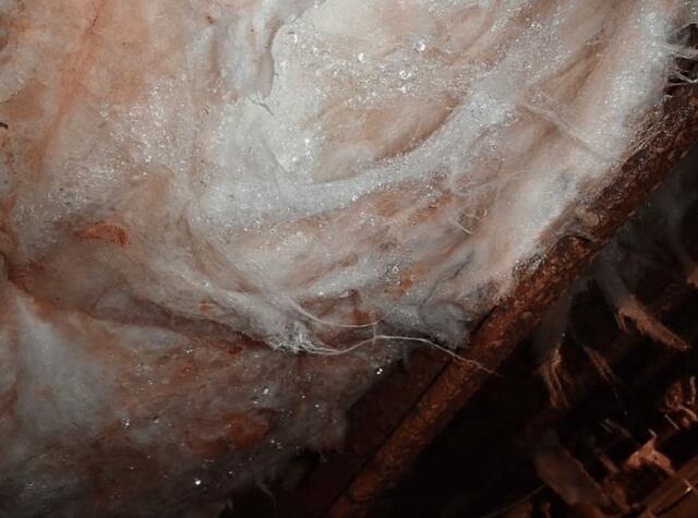 Moisture on the Insulation