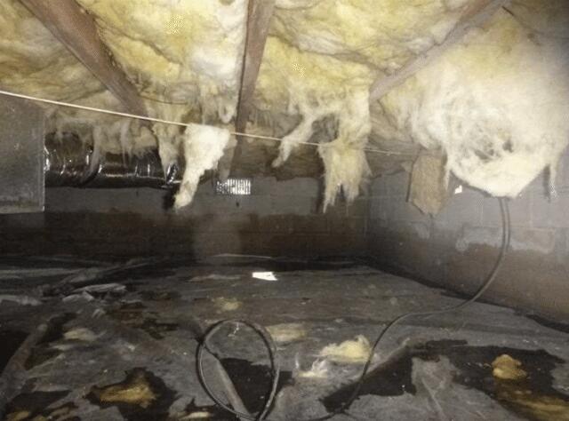 Standing Water and Falling Insulation