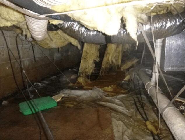 Debris and More Water