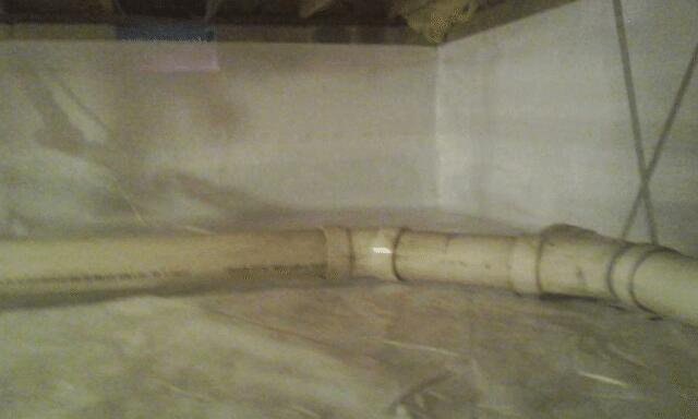 Trusted Experts at DryZone