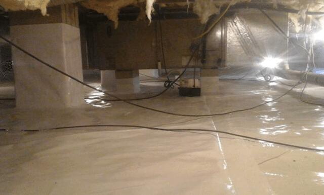 International Solution