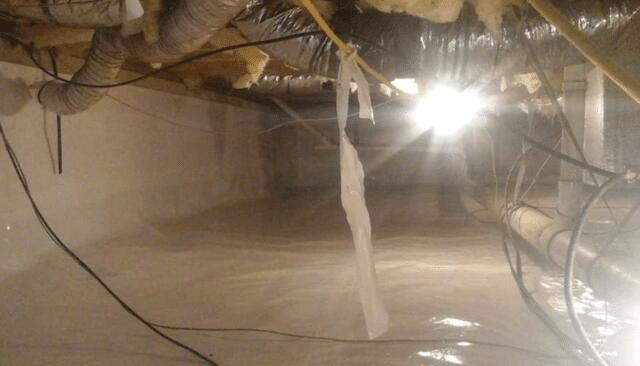 Our company offers more than just crawl space vapor barriers!