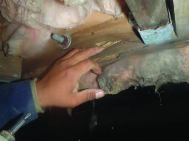 Wood Rot