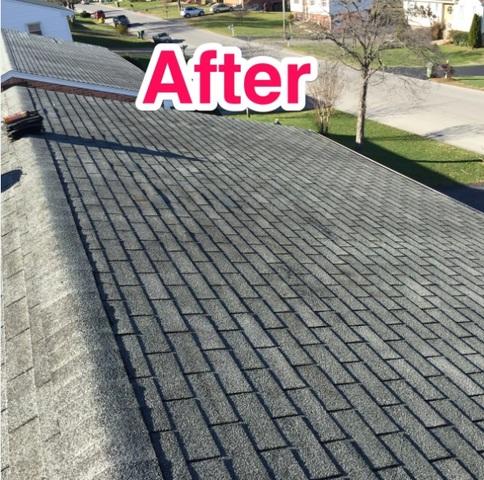 Replaced Shingles on Roof