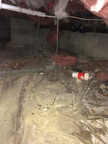 Before Pictures on Handsome