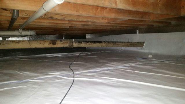 From entrance looking in