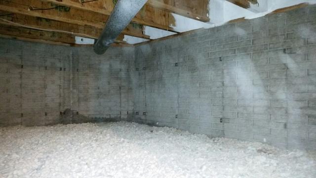 Evident Dampness