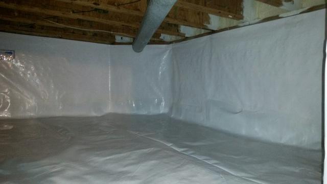 CleanSpace Liner