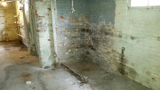 Damp Basement 