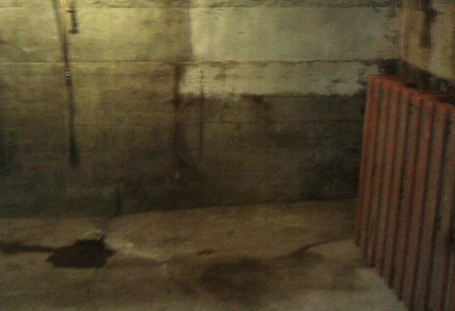 Wet Basement