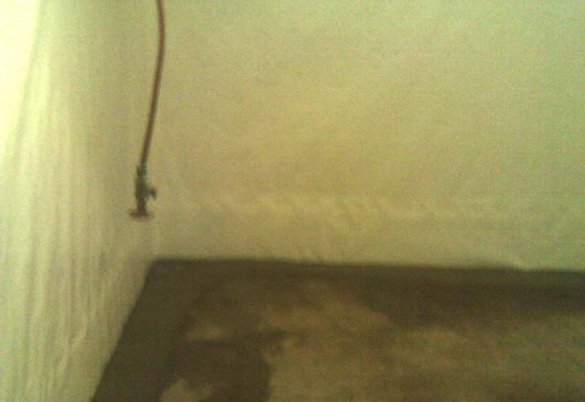 CleanSpace & WaterGuard