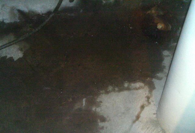 Drain Water Intrusion