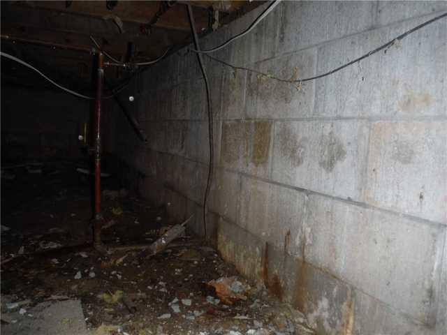 Water Damage and Mold