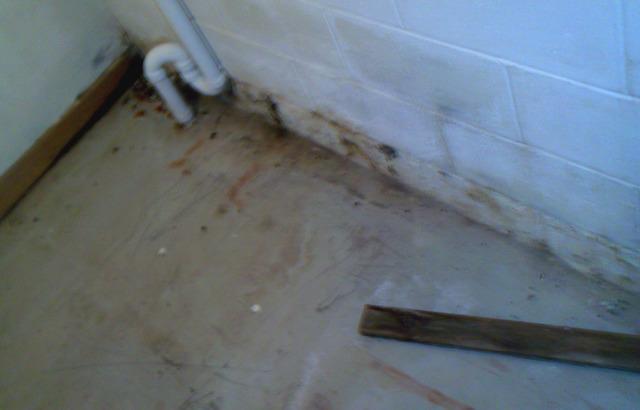 Water Seepage