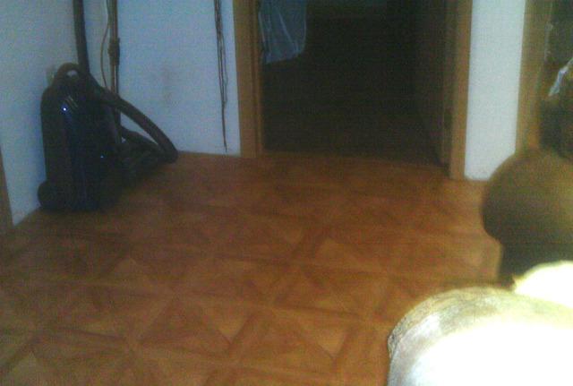 Mold Resistant