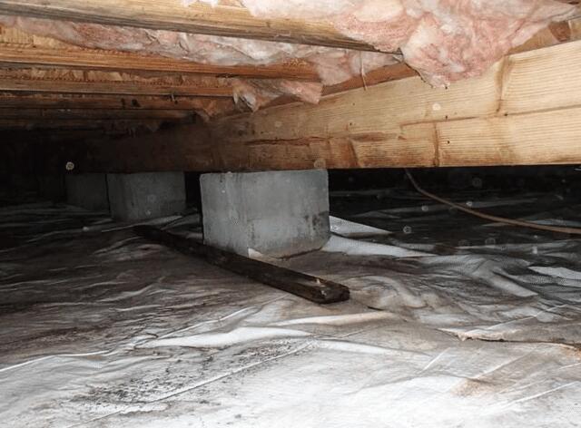 Crawl Space Under the Pool House