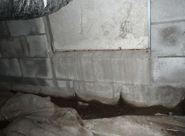 Crawl Space Door