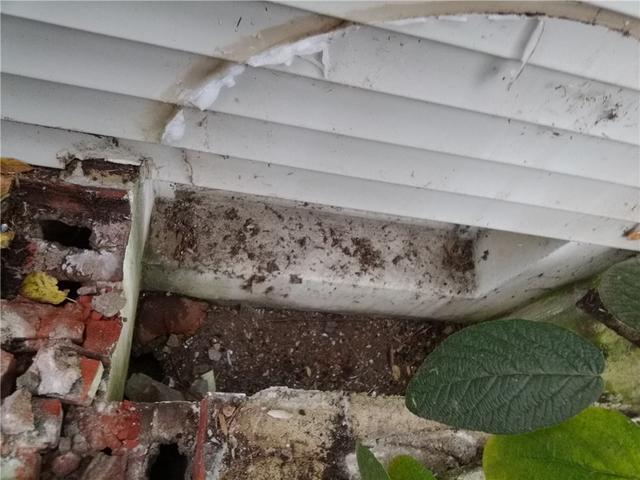 Old Window Well Removal