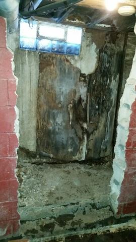 Dreary Basement