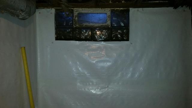 CleanSpace