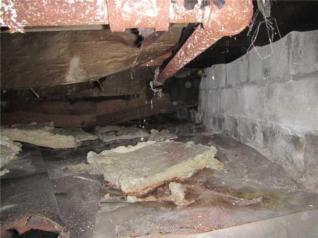Dirty Crawl Space in Essex County, NJ