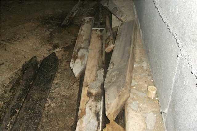 Moldy Wood in Wet Crawl Space