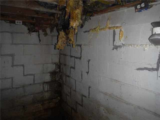 Disastrous Corner of Moldy Basement