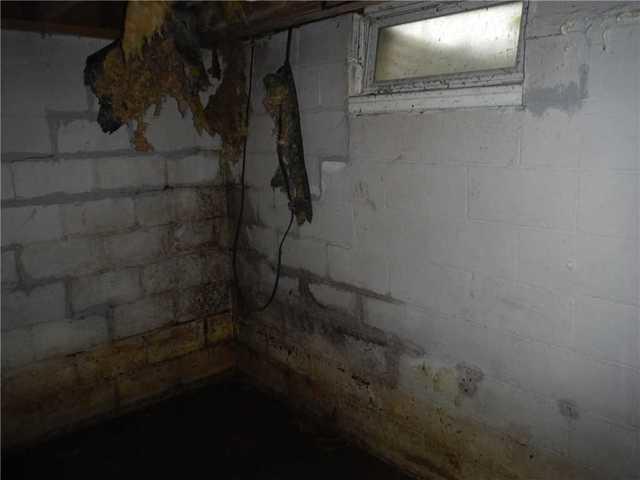 Cracked, Moldy Corner of Basement