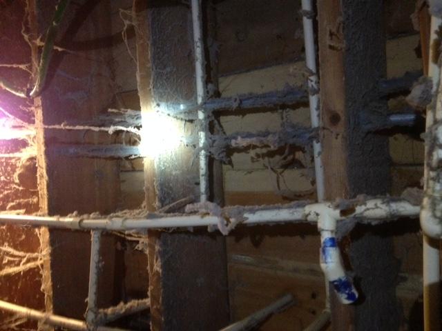 Moldy Subfloor in Marion, KY crawlspace