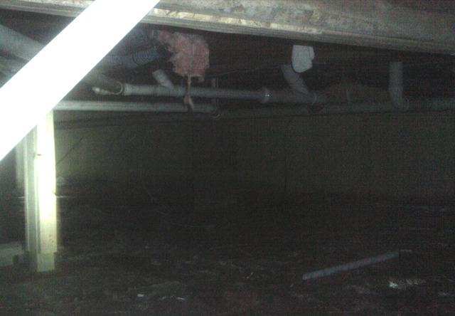 Damp Crawl Space