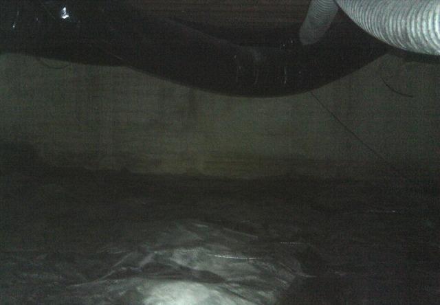 The crawl space was sealed with a thin liner that was not efficient enough to properly seal the space from the earth. 