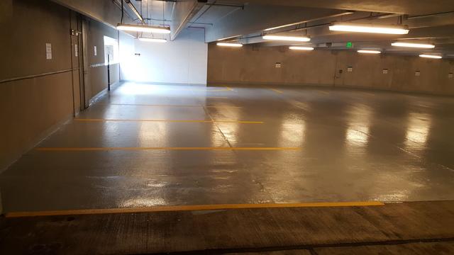 Coated and Stripped Floor in New Haven