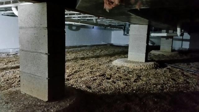 Damp Crawl Space