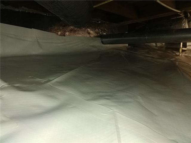 Mold-Free Crawl Space