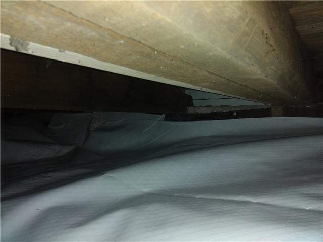 Warm Crawl Space