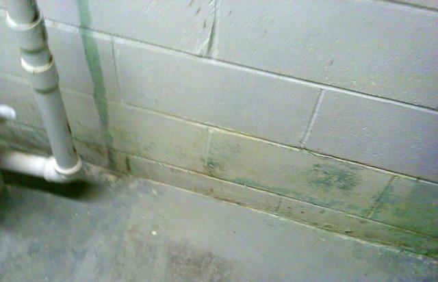 Water Damage