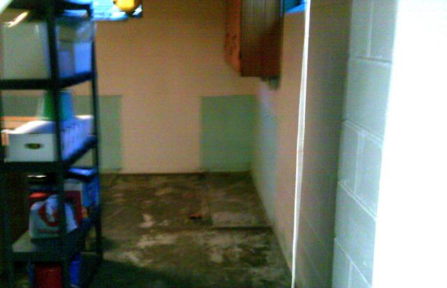 Basement Before Waterproofing