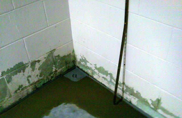 Installed WaterGuard Port