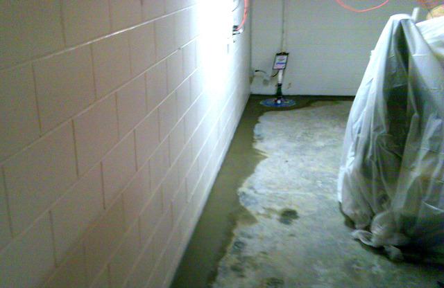 Dry Basement