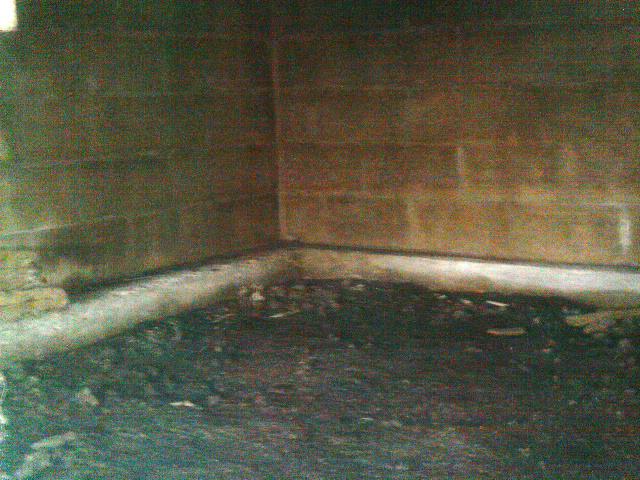 Dank Crawl Space 