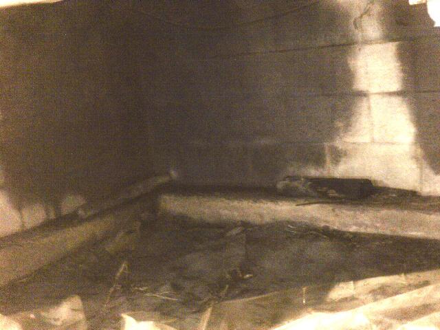 Before Encapsulation 