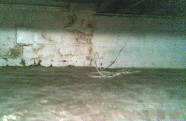 Water Damage 
