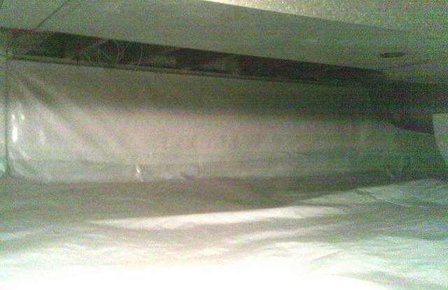 CleanSpace Liner