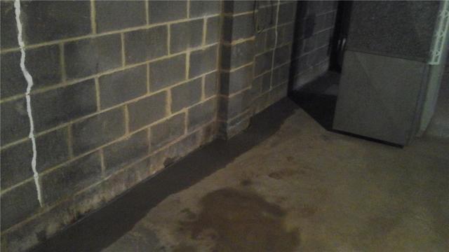 Covered Basement Drain in Little Silver