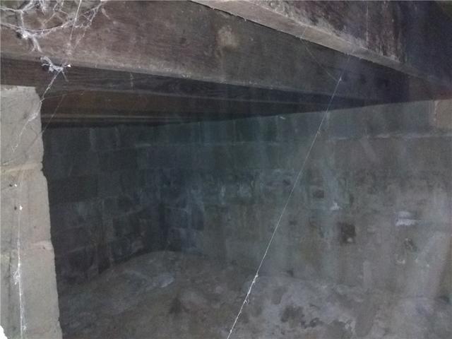 Damp, Unhealthy Basement in Montclair