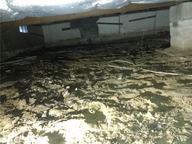 Dirty Crawl Space in Manalapan