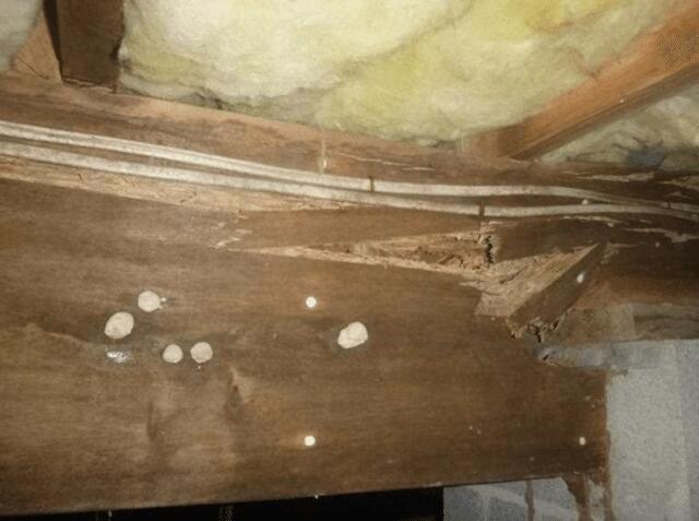 Mold