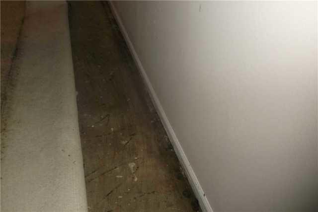 Pulled Back Carpet Reveals Water Damage