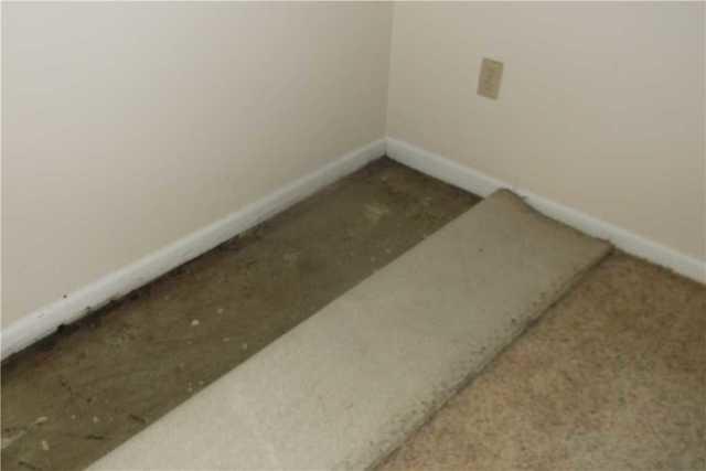 Water Damaged Floor in Kalamazoo Basement